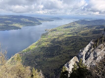 Zdjęcie z Natur_erleben_dg wzdłuż trasy