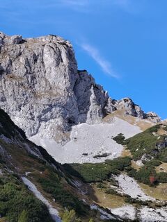 Foto von Bergkater entlang der Tour