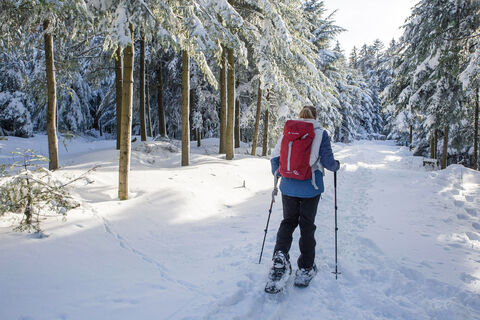Schneeschuhwandern in Bad Peterstal Griesbach