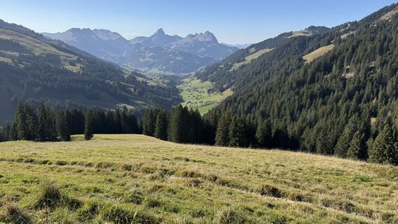 Fotografia z peter_oe na trase