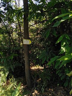 Photo de Suse Grass le long du parcours