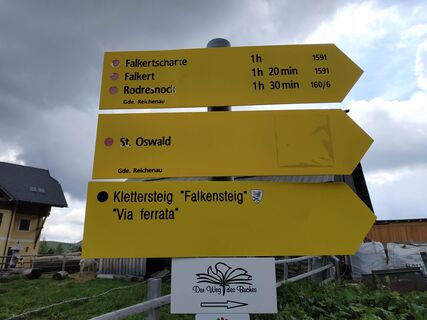 Zuerst auf den Rödresnock, dann weiter über die Falkertscharte auf den Falkert.
Alternativ direkt zur Scharte.