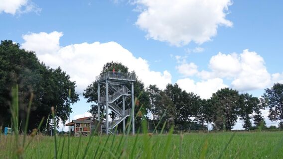 Naturerlebnis Vreeser Wiesen - Bockholter Dose - Aussichtsturm