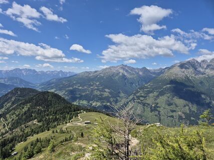Foto von Dobber Willi entlang der Tour