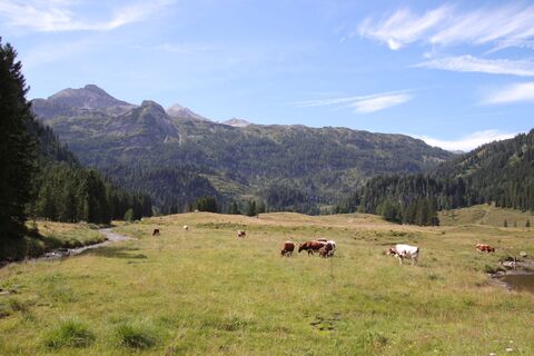 Foto von Günter Kleutsch entlang der Tour