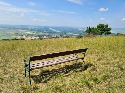 Gipfel Hundsheimer Berg