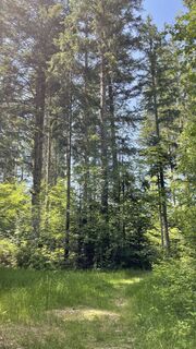 Photo de Ramon Schmidt le long du parcours