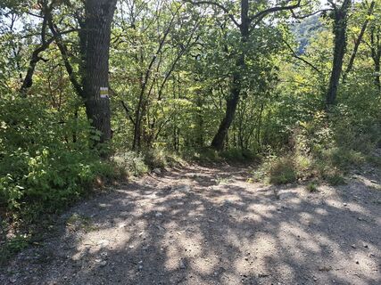 Foto von Fredl3033 entlang der Tour