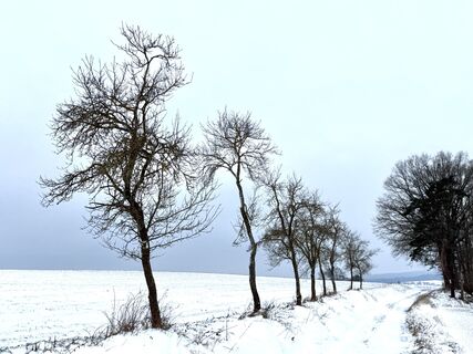Foto von Norbert Herbig entlang der Tour