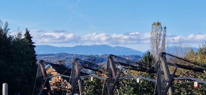 Fotografia z Utassy Tóth Johanna na trase