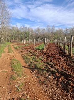 Photo de Lili Toplak le long du parcours