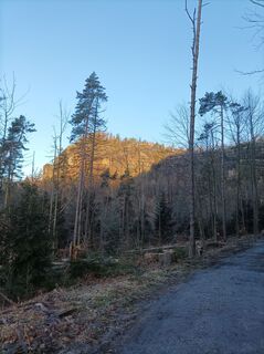 Foto van Felix Brandenburger langs de tour