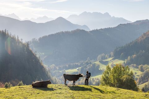 Irgendwo über Jesenice, im Hintergrund Julische Alpen