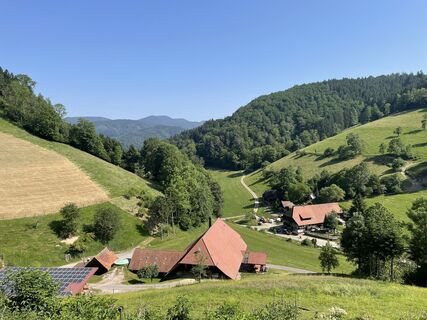 Foto von Ralf Umminger entlang der Tour