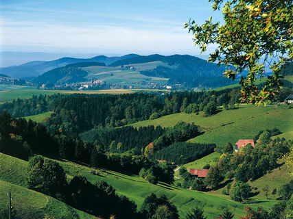 Aussicht auf St. Peter
