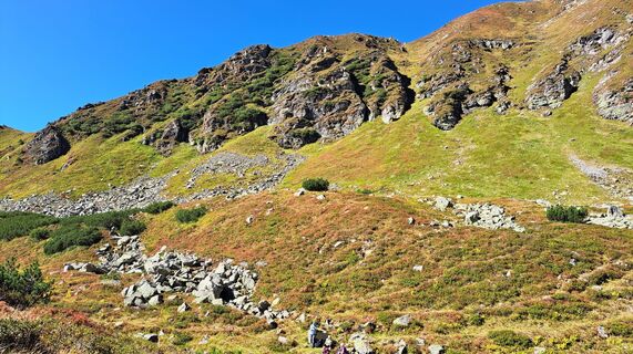 Photo de Anna Wilding le long du parcours