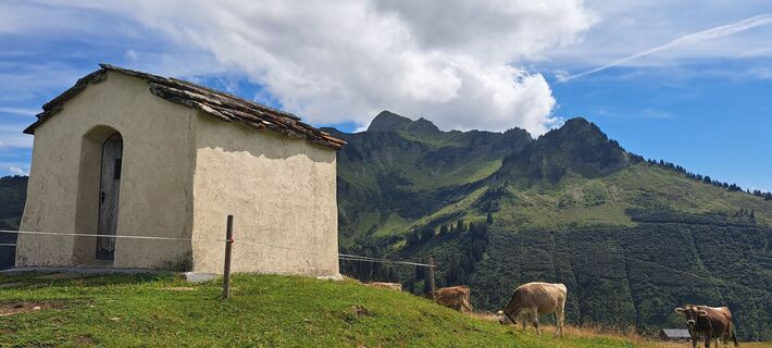Foto von Claudia Ritz 1 entlang der Tour