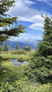 Photo de Mountain Cat ? ⛰️ le long du parcours