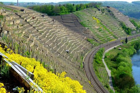 Felsengärten bei Hessigheim - Aussicht vom schönsten Weinsicht
