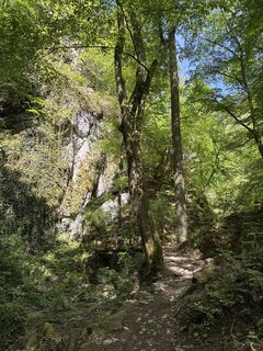 Фото с сайта Andreas Vogel 1 во время экскурсии