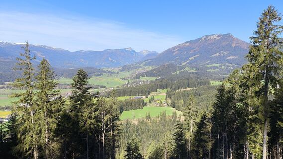 Fotografia z WilliSt na trase