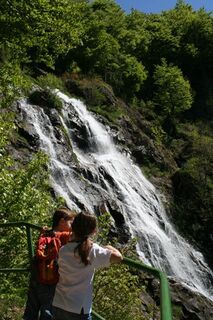 Todtnauer Wasserfall
