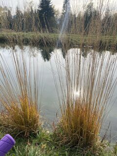 Foto van Sven Krieblin langs de tour