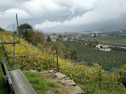 Foto van Grieshofer Gerlinde langs de tour