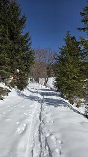Foto von Axel Polleres entlang der Tour