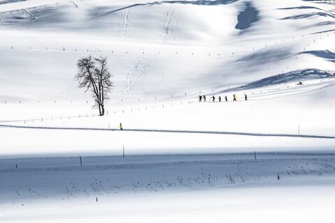 ®rol.art-images - PillerseeTal Landschaft Winter (1).jpg