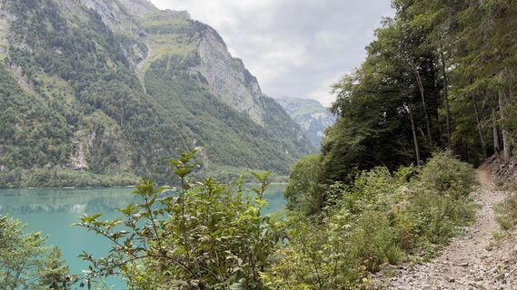 Fotografija s spletne strani Peter Burki na poti