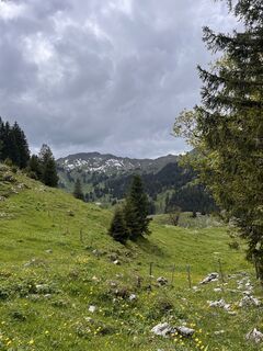 Foto von Julien tripet entlang der Tour