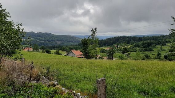 Fotografija s spletne strani Danny Verdonck na poti