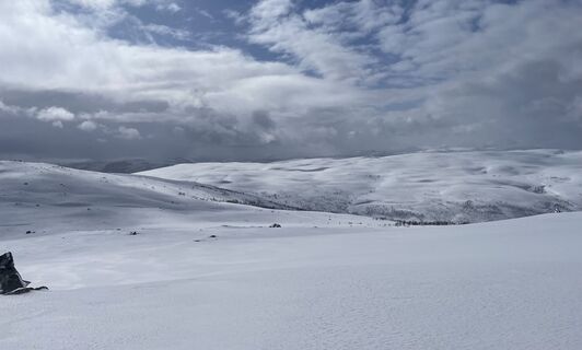 Fotografija s spletne strani Hels Walker na poti