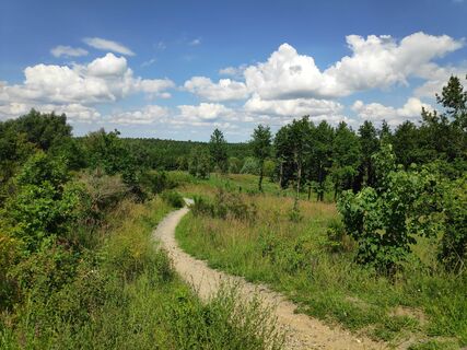Wanderpfad Sophienhöhe