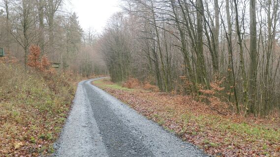 Foto de Hans Werner Ball a lo largo del recorrido