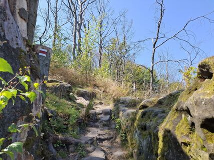 Fotografija s spletne strani nordbergschnecke na poti