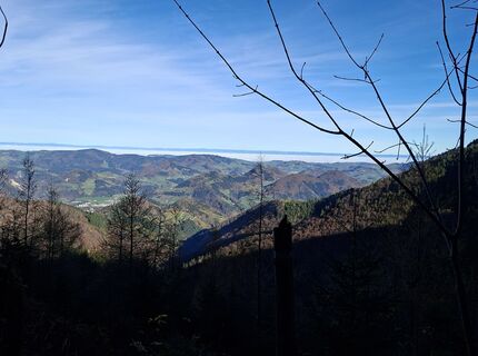 Fotografija s spletne strani kstb na poti