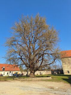 Foto från Odett Rácz under resans gång