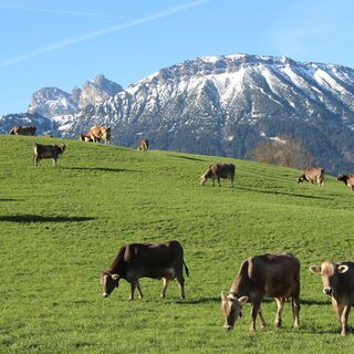 Der Breitenberg - Pfrontens Hausberg