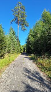 Photo de Libor Matas le long du parcours