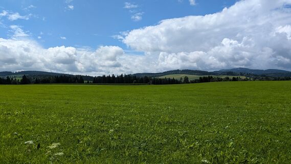 Foto von Roman Kutschera entlang der Tour