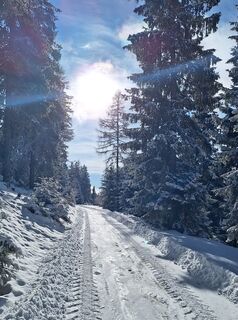 Photo de Katja Gonzi le long du parcours
