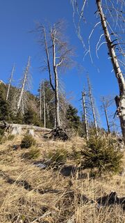 Foto von W.K. entlang der Tour