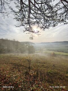 Fotografia z Fredi Oppel na trase