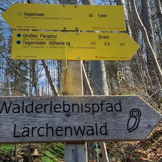 Walderlebnispfad Lärchenwald Tegernsee