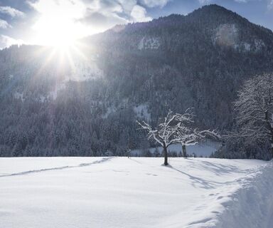 Winterwandern Reith