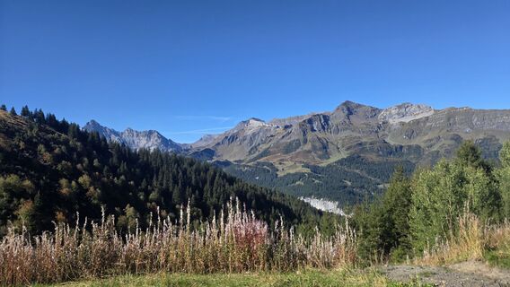 Foto von Hameister entlang der Tour