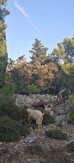 Fotografia z woki8 na trase