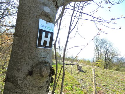 Lengerich_Wegezeichen_Teutoburger Wald Tourismus_I Bohlken (1).jpg